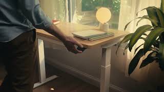 Branch - Wildly Ergonomic (Desk)